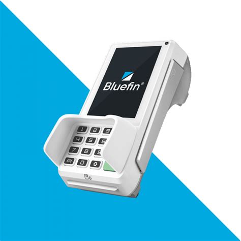 bluefim|Bluefin: Payment & Sensitive Data Security Solutions